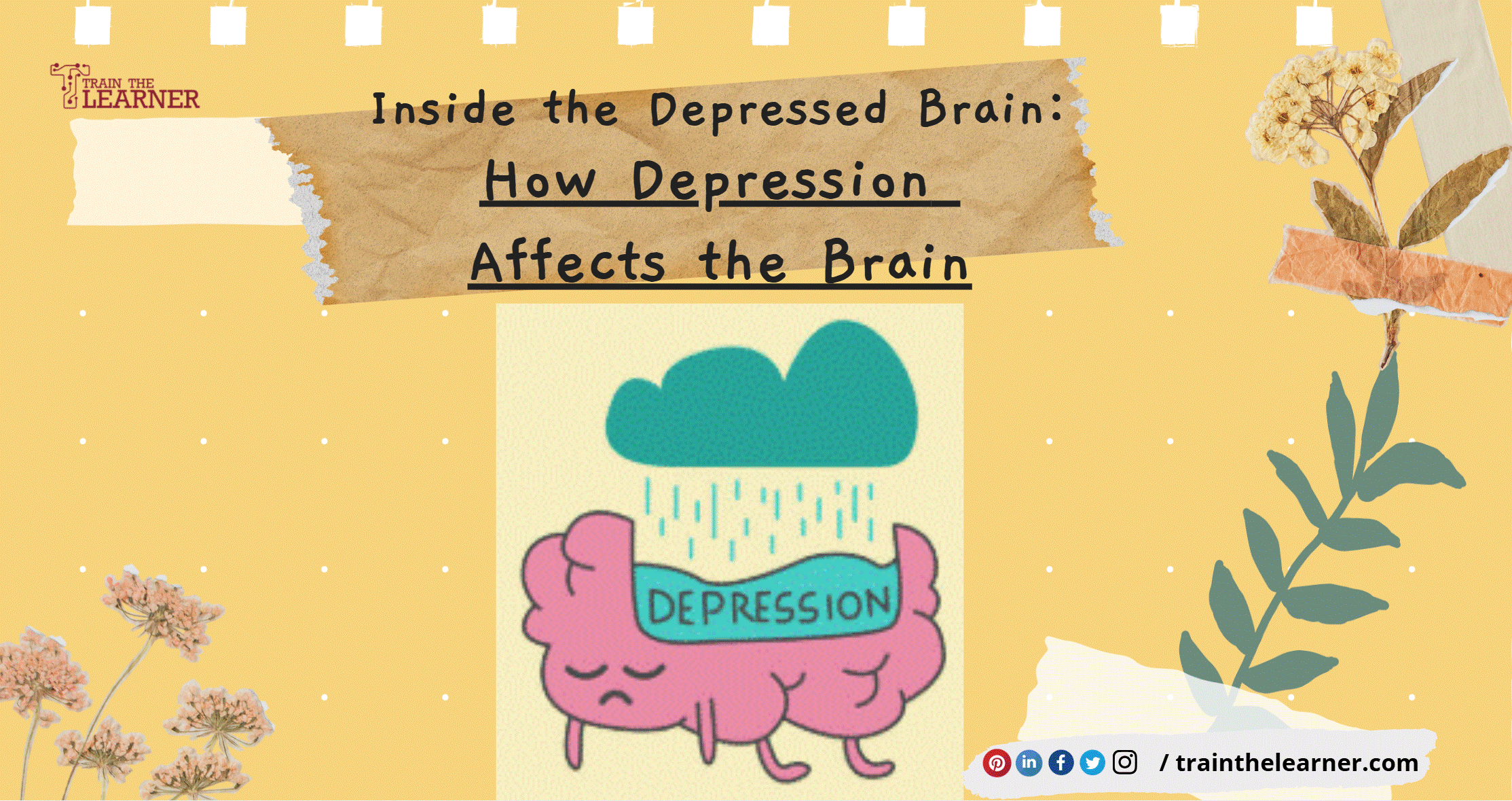 Read more about the article Inside the Depressed Brain: How Depression Affects the Brain